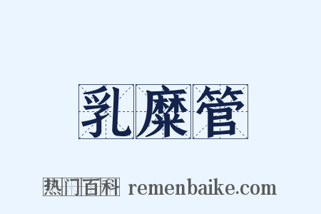 乳糜管是什么意思的图片